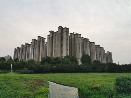 农村的的房产怎么分