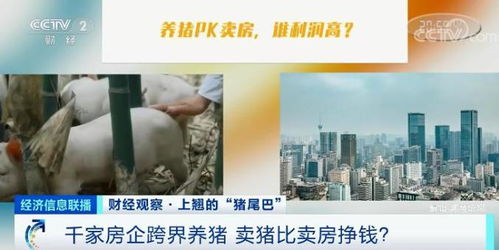 房产公司怎么直播赚钱