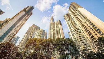 武汉靓仔房产怎么样