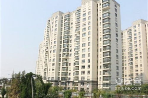 大成中介房产怎么样