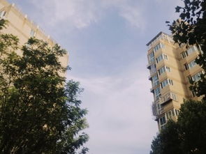 珠海雅丽房产怎么样