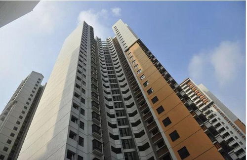 房产新号怎么起名字