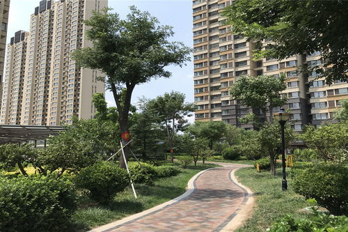 博兴房产评价怎么样