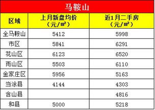 安徽地方债券怎么买房产