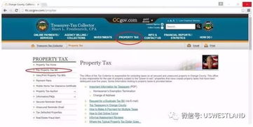 怎么查房产税务信息