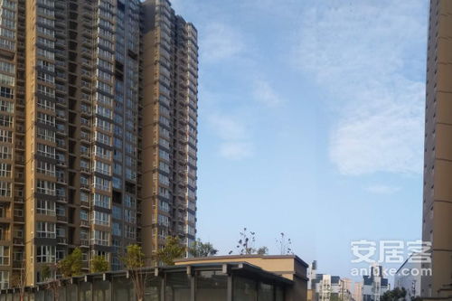 仁大房产怎么样