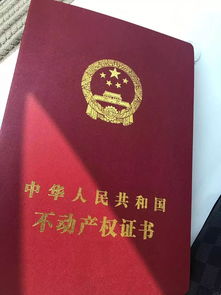 委托房产是怎么回事