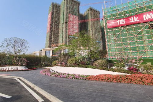 铭信房产怎么样 铭信房产怎么样