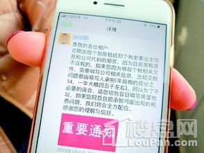 房产中介国税怎么报