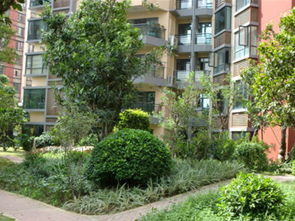 泰州联华房产怎么样