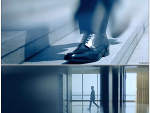 房产人每天怎么拍视频