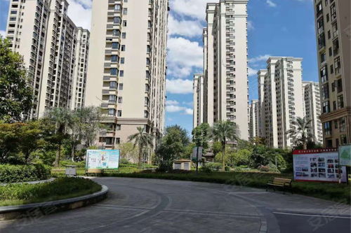 宜阳蜗牛房产怎么样