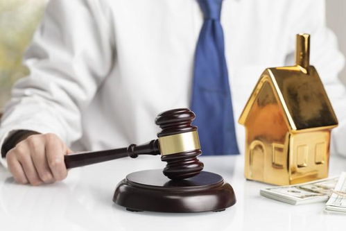 房产怎么走法院拍卖