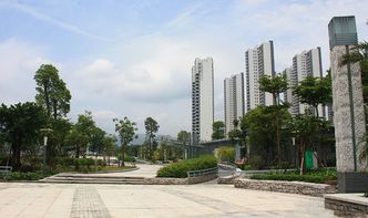 大亚湾房产盛况怎么样