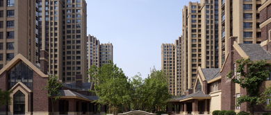 艾佛瑞房产怎么找