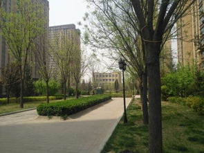 东胜避暑房产怎么样