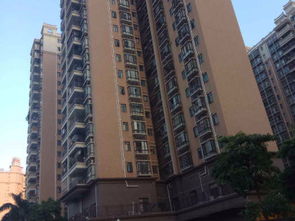 惠州雪儿房产怎么样