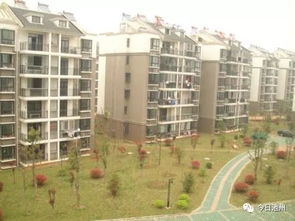 怎么查看池州房产网