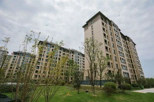 怎么查看池州房产网