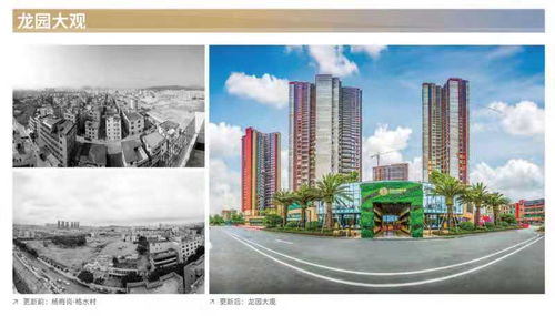 深圳无房产怎么随迁 深圳无房产怎么随迁