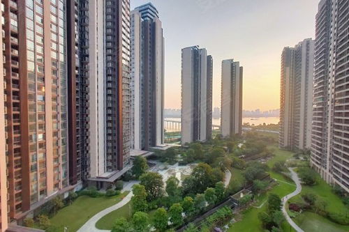 楼市保利房产怎么样