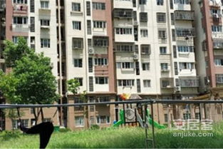 瑞阳房产怎么了