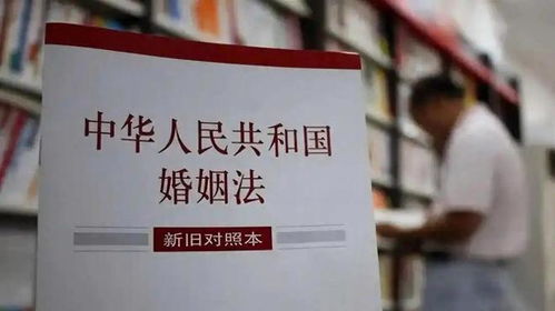 婚姻法房产怎么分