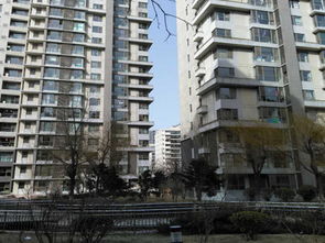 阜阳金泰房产怎么样