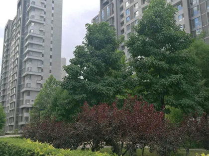 阜阳金泰房产怎么样