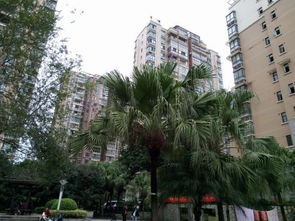 垄宇房产怎么样