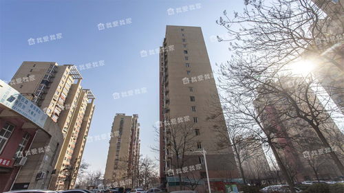 爱上我家房产怎么样