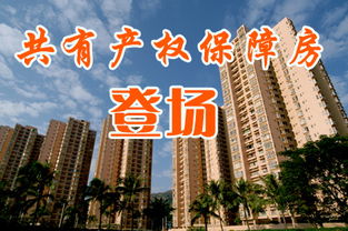 保障房产权份额怎么算