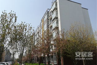 望都房产行情怎么样