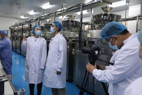 房产探盘专场怎么拍