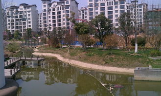 江阴叮咚房产怎么样