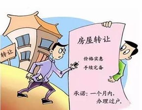 过户房产怎么约定份额的 过户房产怎么约定份额的