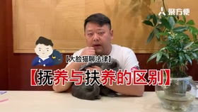 房产营销专家怎么称呼他 房产营销专家怎么称呼他