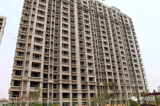 博兴房产进度怎么样