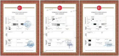 怎么开房产信息卡