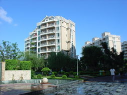 广东房产网上怎么查