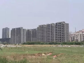 原阳房产怎么样了