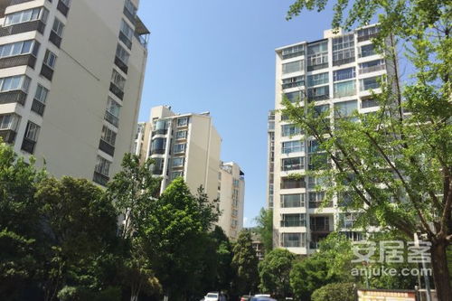 内乡理想房产怎么样