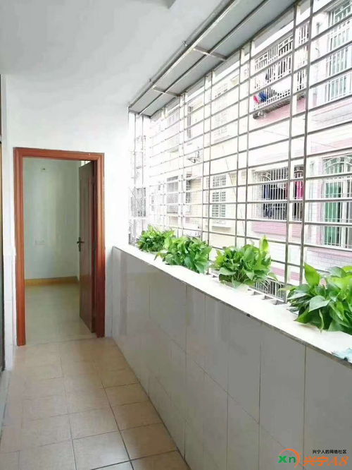 房产达人建阳台怎么建