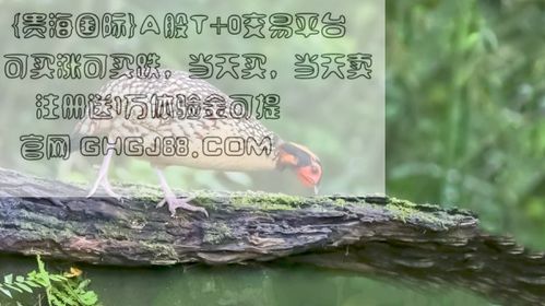 怎么算房产的盈亏比例