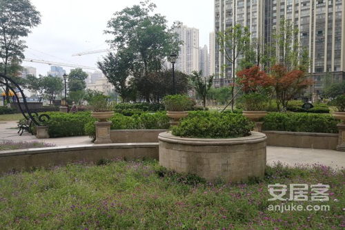 大邑投资房产怎么样