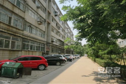 禹州金鹏房产怎么样