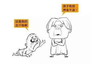 房产受损了怎么办