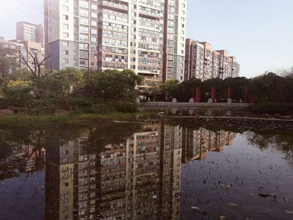 元度房产怎么样