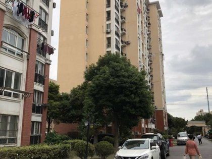 家林房产怎么样