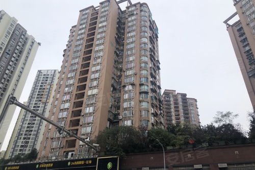 顺嘉房产怎么样